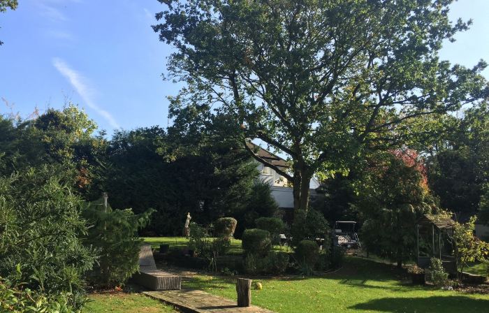 Edgware Bed and Breakfast