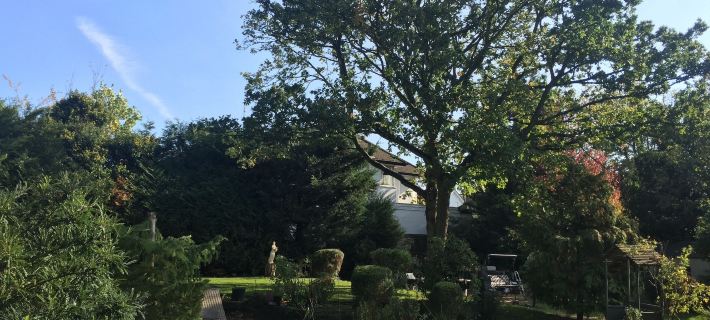 Edgware Bed and Breakfast Các khách sạn ở Barnet