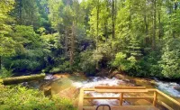 The Cascades Inn-Waterfall Retreat Hotels in Rabun County