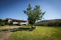 Casa Da Quinta Do Rei - Homestays