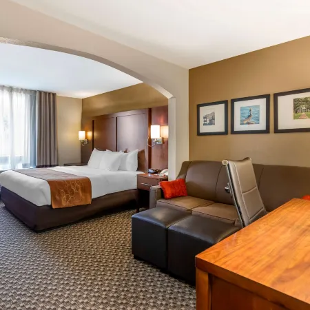 Comfort Suites Port Allen - Baton Rouge