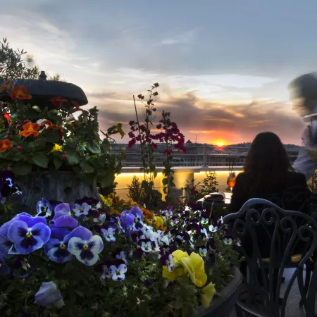 Marcella Royal Hotel - Rooftop Garden