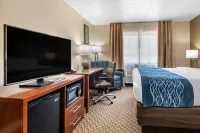 Comfort Inn Near Kokomo Speedway - Wifi