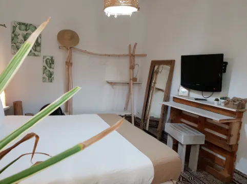 仙人掌青年旅舍