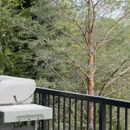 107 Birchview Trail