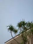 Suncloud Koh Samet - Romantic