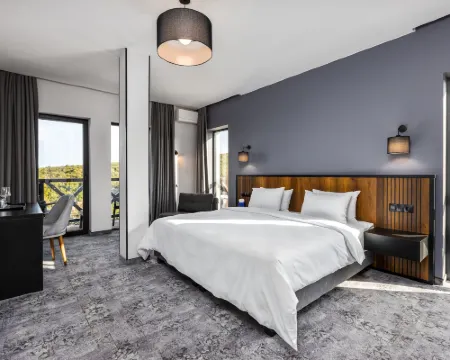 Hotel Qvevrebi Hoteles en Telavi