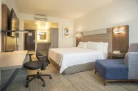 Holiday Inn Express Guadalajara Iteso Отели рядом с достопримечательностью «Сад Эхерсито Тригаранте»