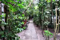 Pousada Coqueiro do Caitá