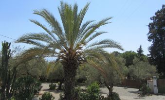 La Casa Palmera - Caminito Del Rey