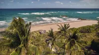 Beach Club at the Boca Raton - Strand