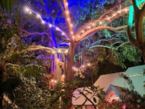 Bak A Yaad Hotels in West End