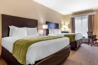 Comfort Inn & Suites Scott-West Lafayette Hotels in Rayne