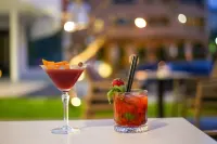 REGINA GARDEN HOTEL - bar