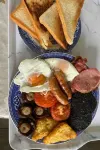 Glamping Cabin - Great for Hikers - Breakfast Inc! Hotels in Kingston