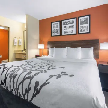 Sleep Inn Sarasota North Hotels near The John and Mable Ringling Museum of Art
