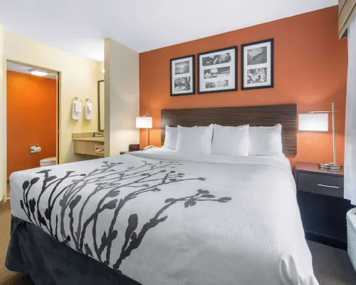 Sleep Inn Sarasota North Hotels in Sarasota