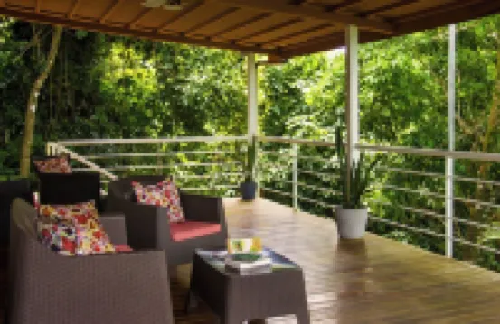 Sunshine Sanctuary Boutique Jungle Lodge