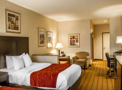 Comfort Suites Edinboro