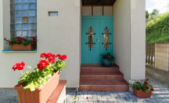 Villa Cihelna Apartments