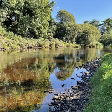 1 Bed Shepherds Hut-Sleeps 2-Free Parking-Mtn View