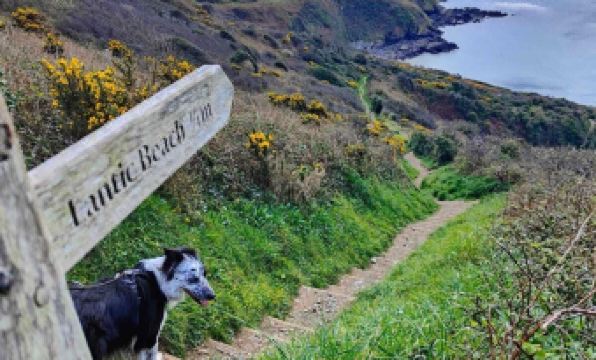 Newly Refurbished 2nd Floor Apartment Lil Nauti