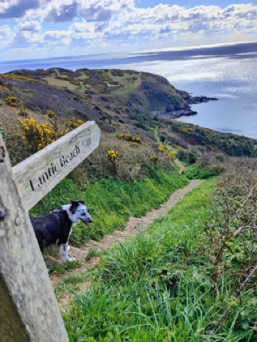 Newly Refurbished 2nd Floor Apartment Lil Nauti Hotels in Fowey