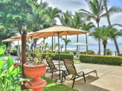 The Backyard Beachfront Hotel Hotels in Jaco