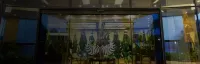 Eurobuilding Express Barinas فنادق في 