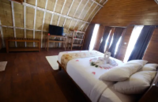 帕拉德薩生活住宿