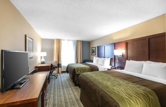 灣城舒適酒店 - 河濱