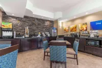 Comfort Suites Medical Center Near Six Flags