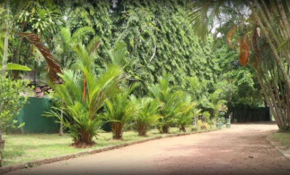 Villa Sunshine Hotel