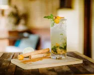 Sleeping Giant Rainforest Lodge - bar