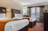 Comfort Inn & Suites LaGuardia Airport Hotels near Trader Joe's