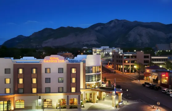 奧格登希爾頓花園酒店