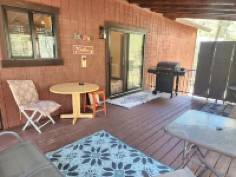 BRAND NEW CUSTOM BUILT HOME WITH AC! FENCED FOR YOUR PUPS!