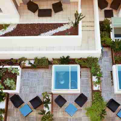 康城伊甸園酒店及水療 Hotel Exterior