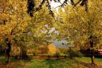 Agriturismo Monte Due Torri Hotels in Velletri