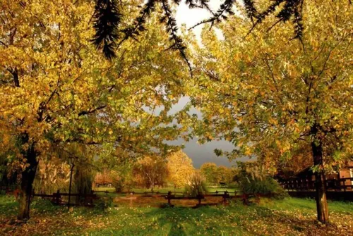 Agriturismo Monte Due Torri Hotels in Aprilia