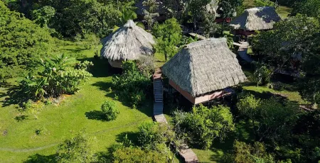 Cotton Tree Lodge Отели в г. Пунта-Горда