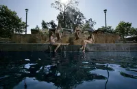 Fordoun Hotel and Spa - Pools