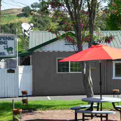 Jumping Frog Motel Hotel Exterior
