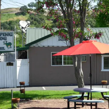 Jumping Frog Motel