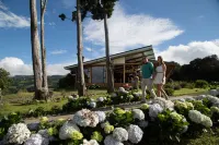 Chayote Lodge Hotels in 