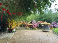 Bobo Glamping Hoteles cerca de C group
