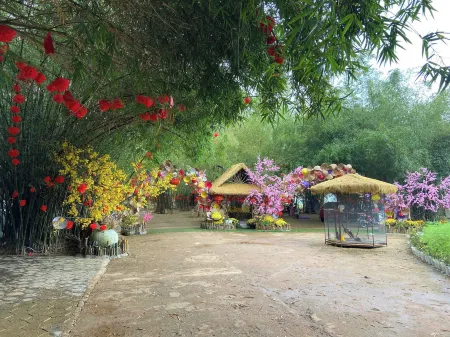 Bobo Glamping Отели в г. Duy Xuyen District