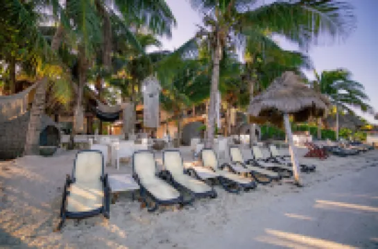 奧爾沃克斯島海濱夢體驗飯店