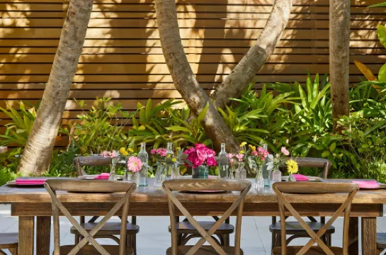 더 새러소타 모던 어 트리뷰트 포트폴리오 호텔