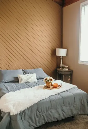 Couples Getaway - Guesthouse/ In-Law Suite with Jacuzzi/Sauna/Pool